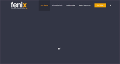 Desktop Screenshot of fenixbilisim.com
